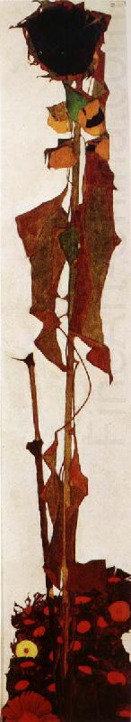 Sunflower, Egon Schiele